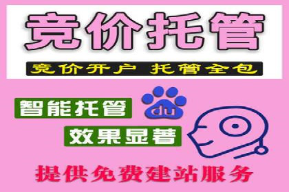 SEM推广策略如何制定——以某电商平台的成功案例为例